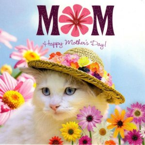 a mother's day greeting 